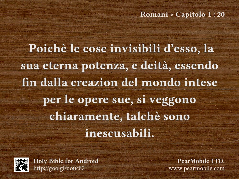Romani, Capitolo 1:20